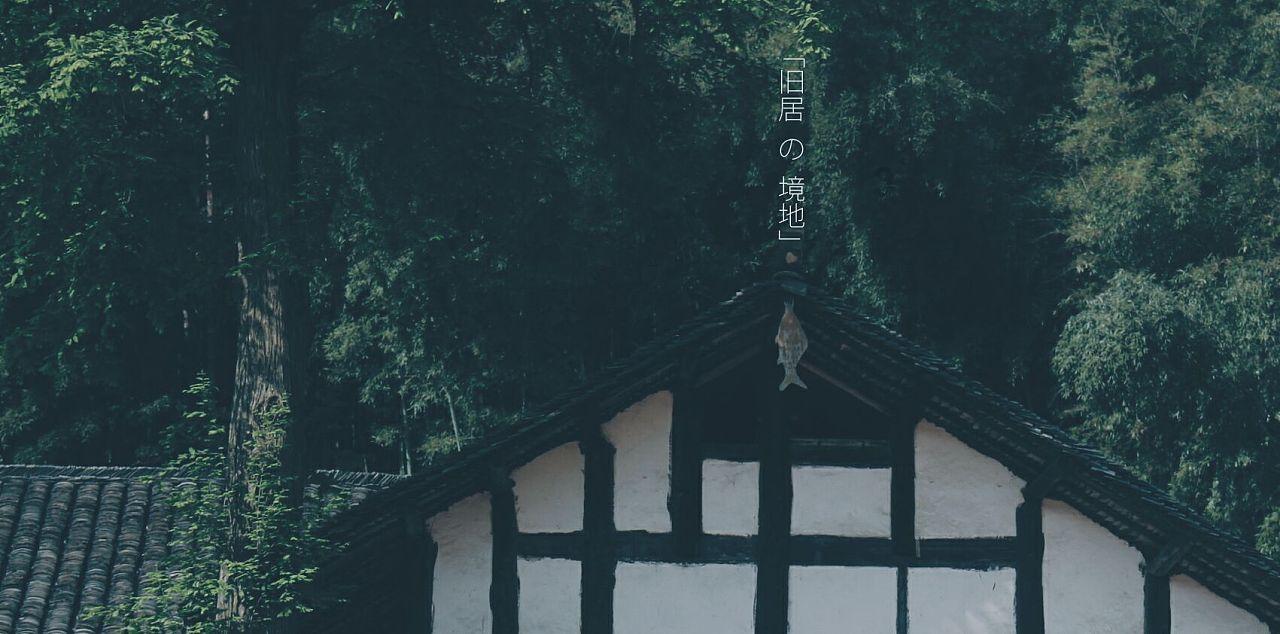 卿卿日常更新时间游戏画面
