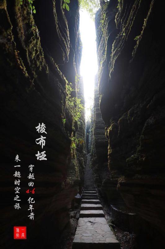 植物大战僵尸