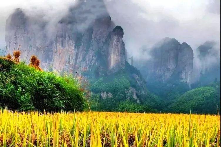 女武神：苍蓝革命