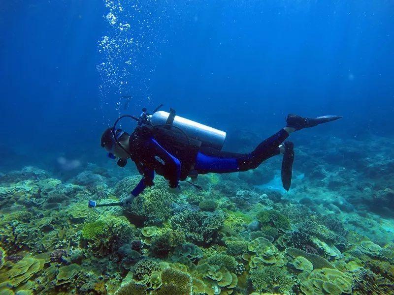 代表说 | 群众的司法获得感成色更足、底色更亮