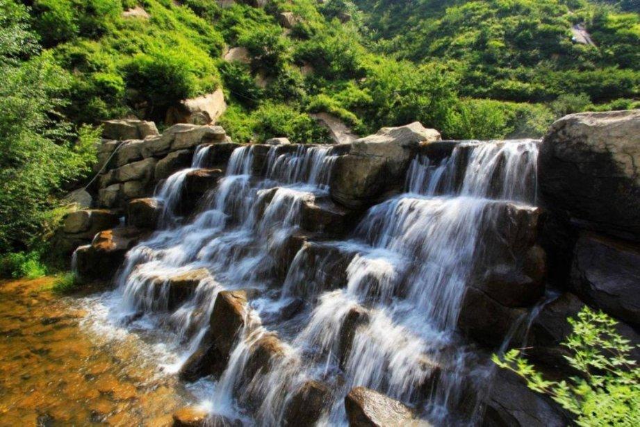 漂亮鹦鹉救援