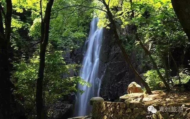 大无名森林逃生