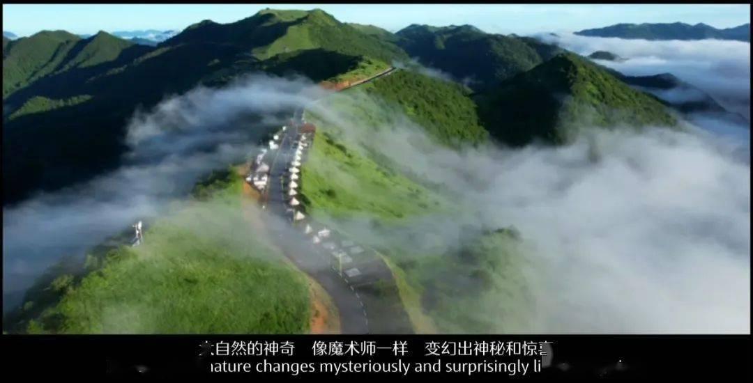 威海代表团审议省政府工作报告时表示 统一思想 凝聚共识 为推进中国式现代化山东实践作出更大贡献