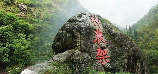 免费追剧下载安装游戏画面